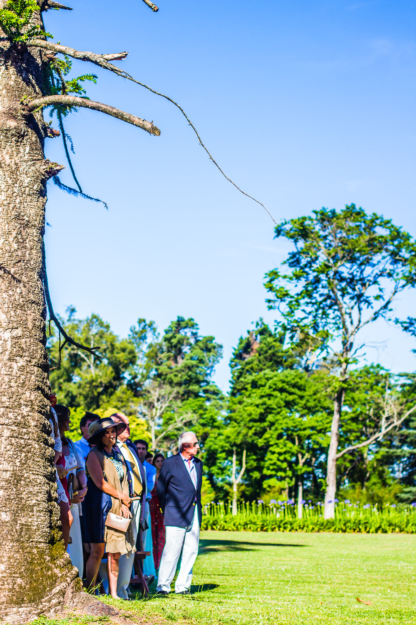 20141123 1123 casamiento luz y fer 1337